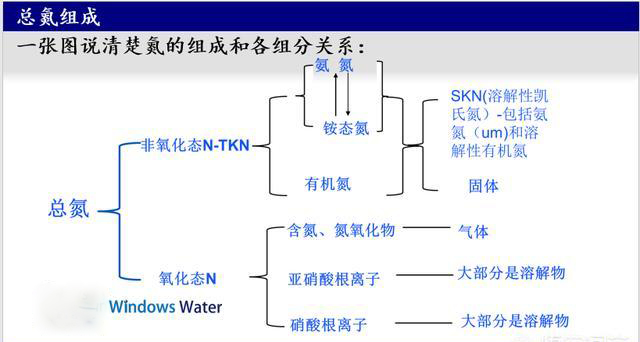 废水中总氮组成